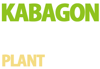 KABAGON PLANT